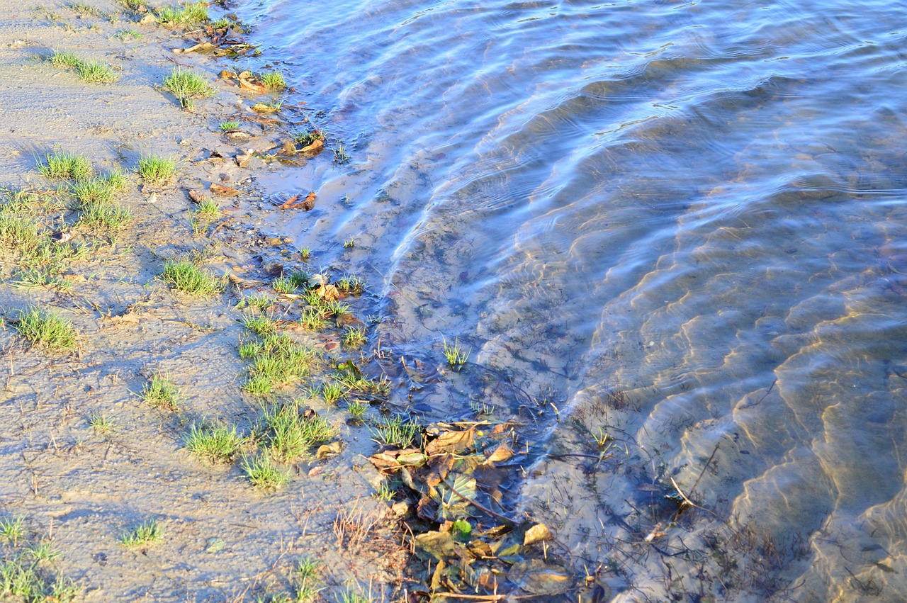 water beach sand free photo