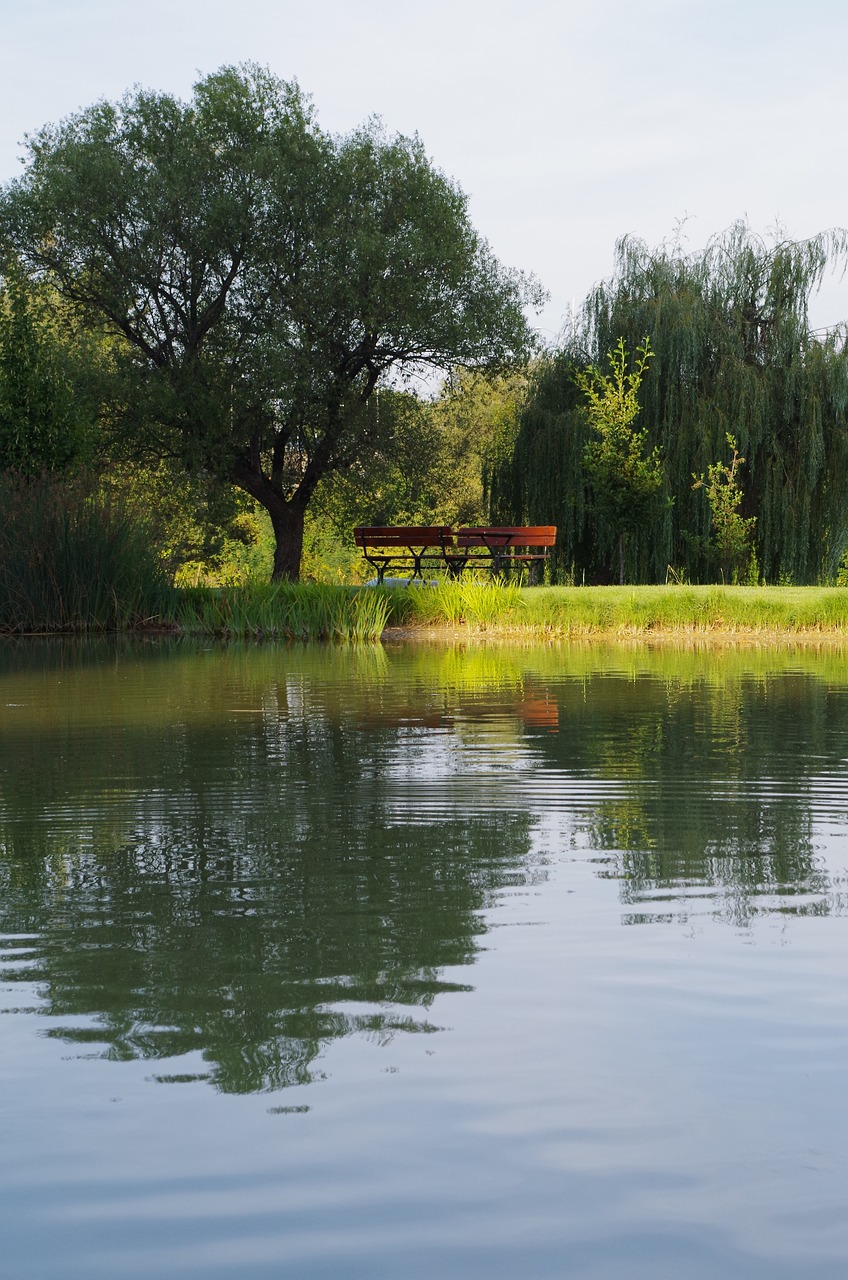 water bench reflection free photo