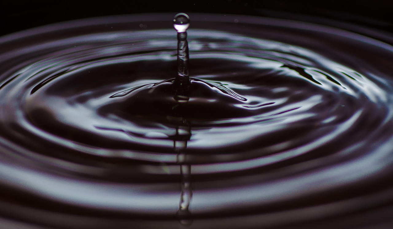 water droplet macro free photo
