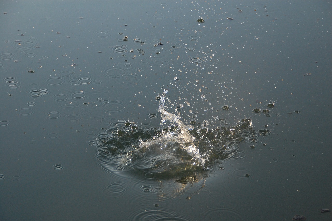 water drops splash free photo