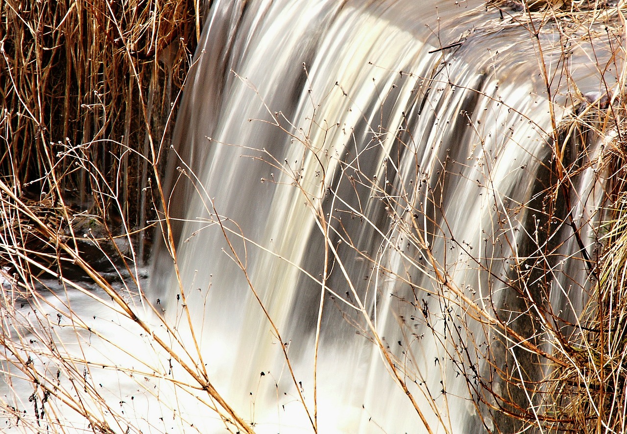 water flowing dry grass free photo