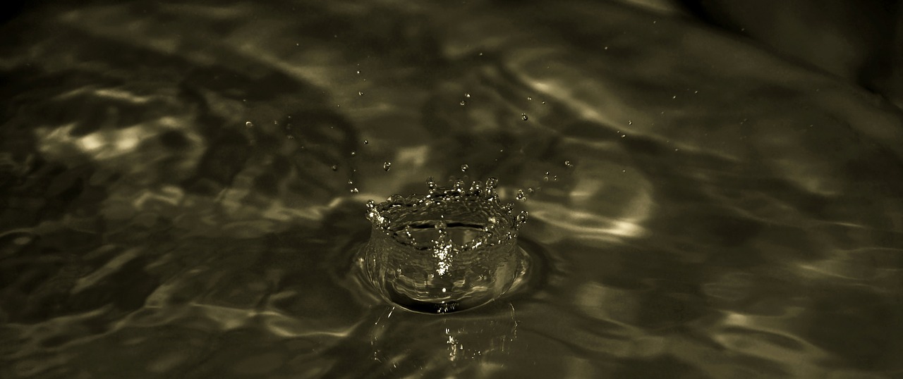 water splash drop free photo