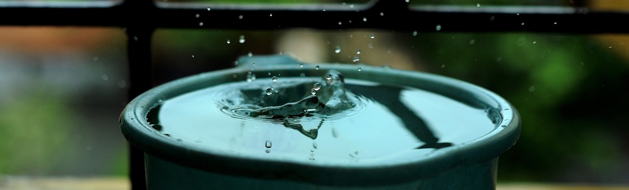 water splash drop free photo