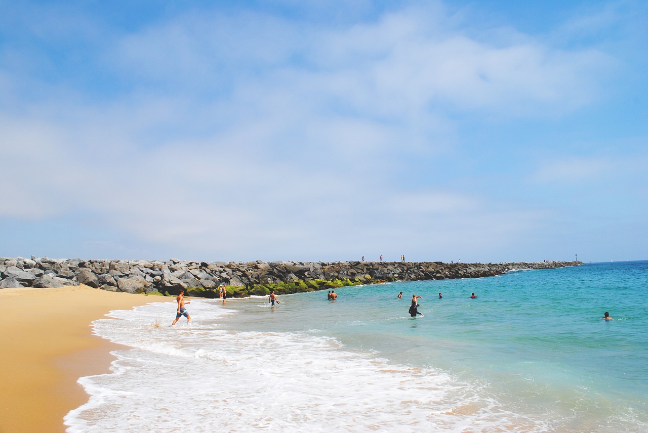 water sea beach free photo