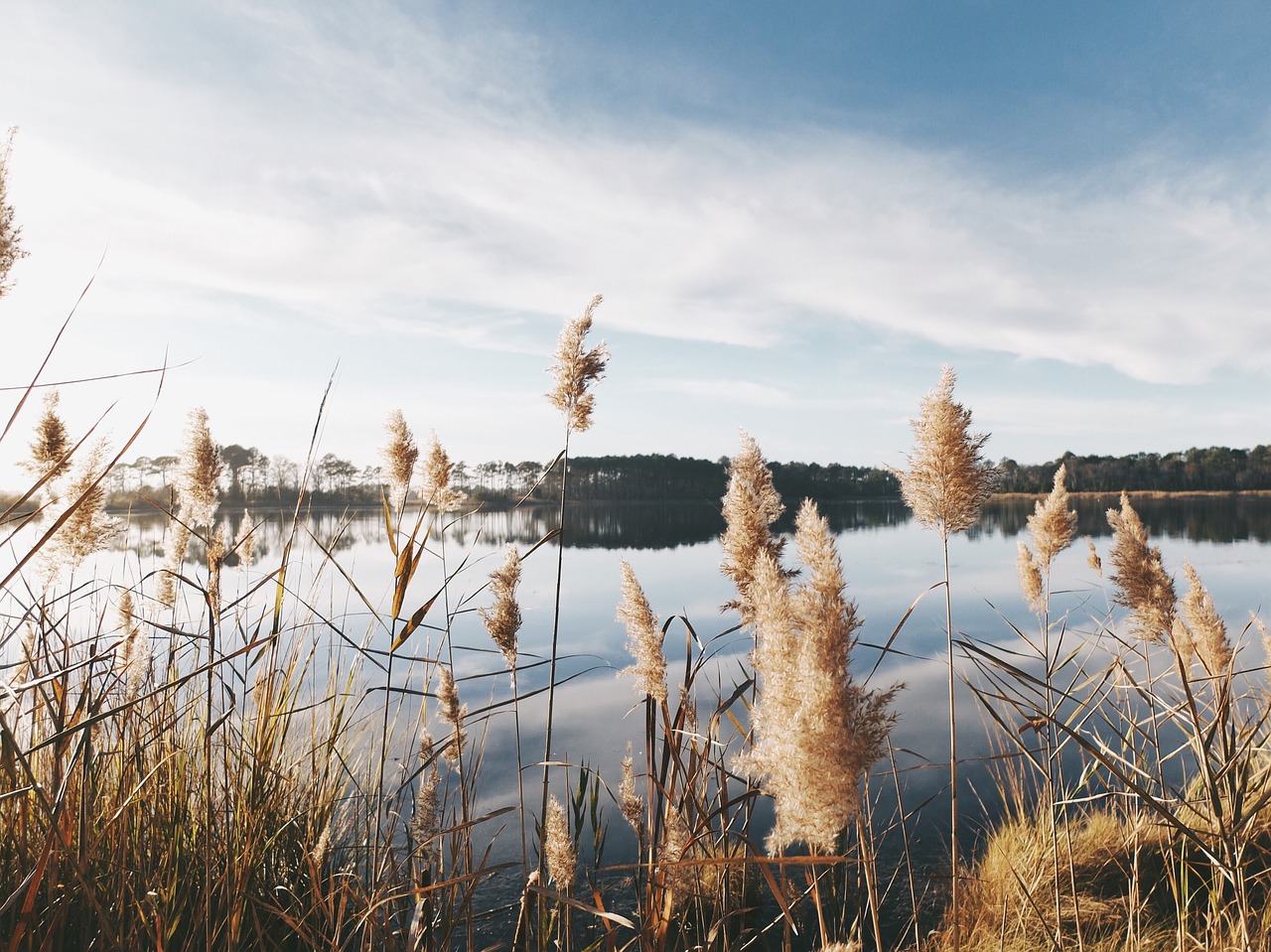 water lake nature free photo