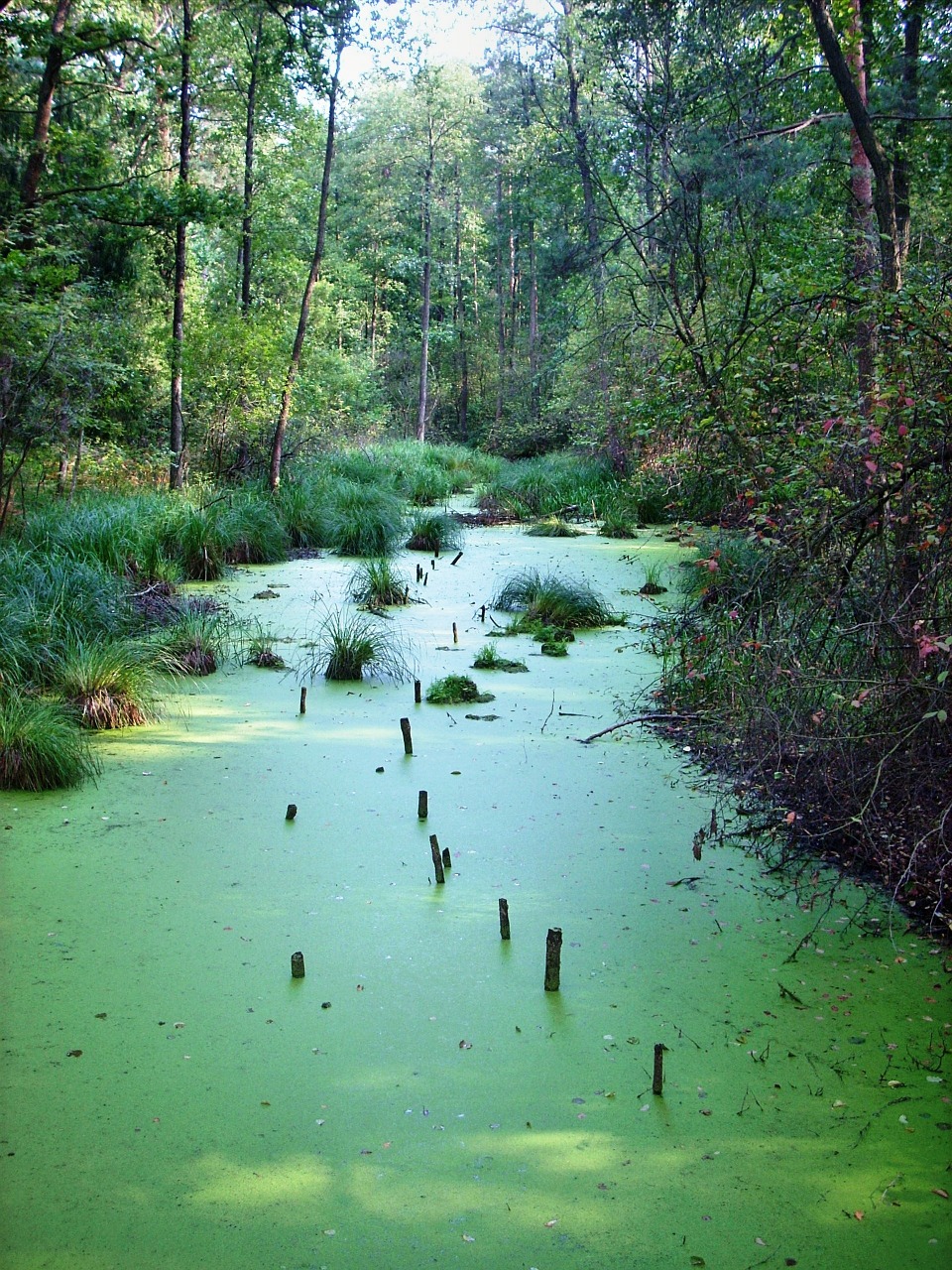 water landscape poland free photo