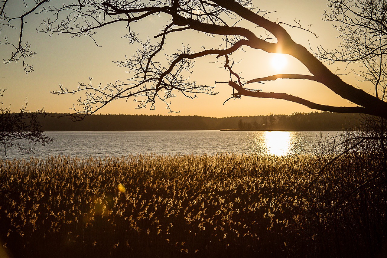 water sunset neubukow free photo