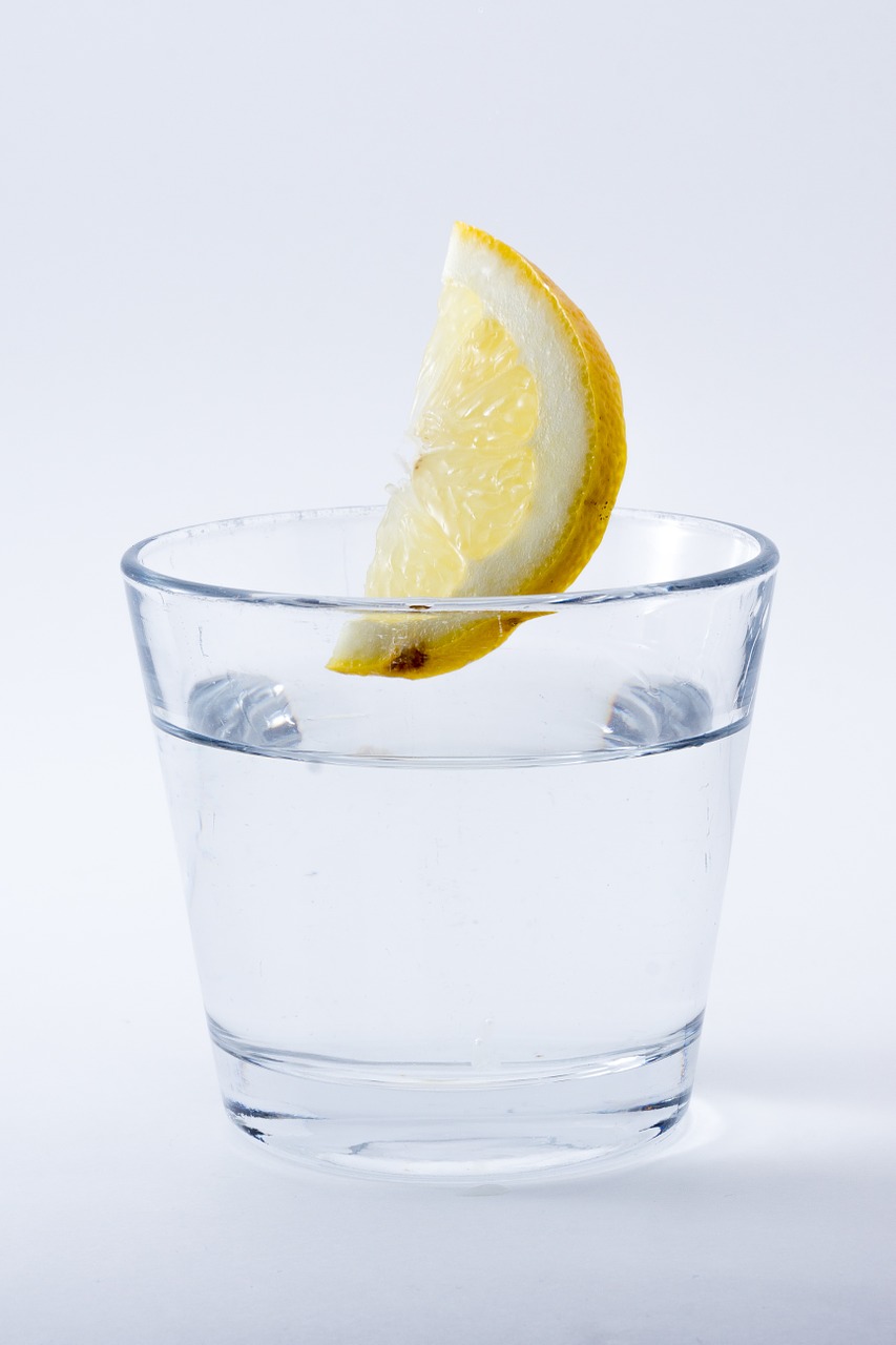 water lemon drink free photo