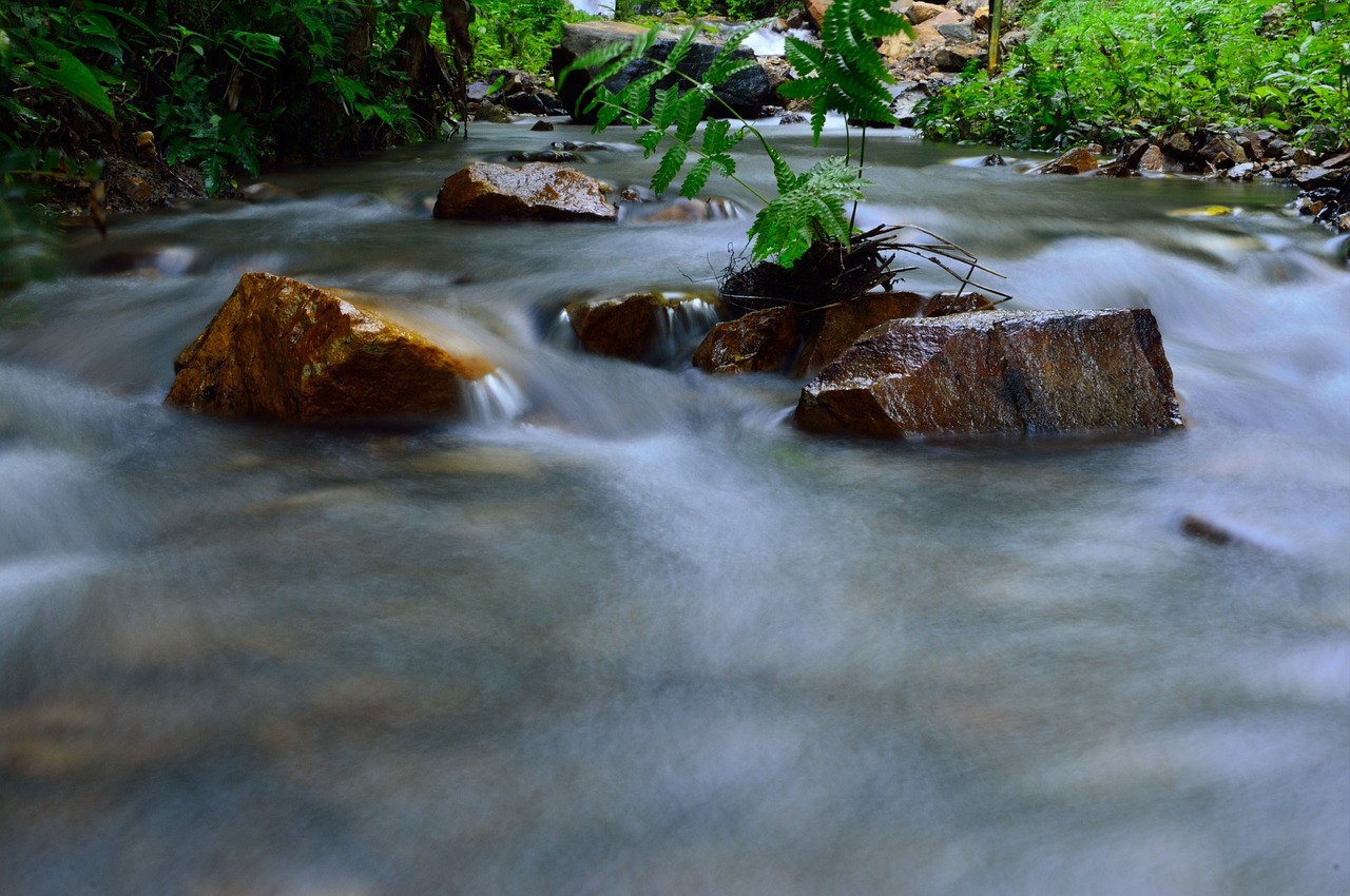 water brook flow free photo