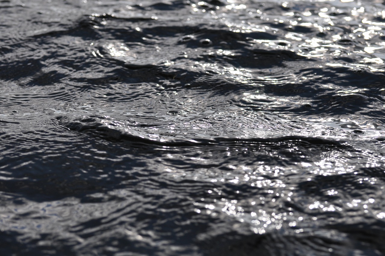 water surface reflections free photo