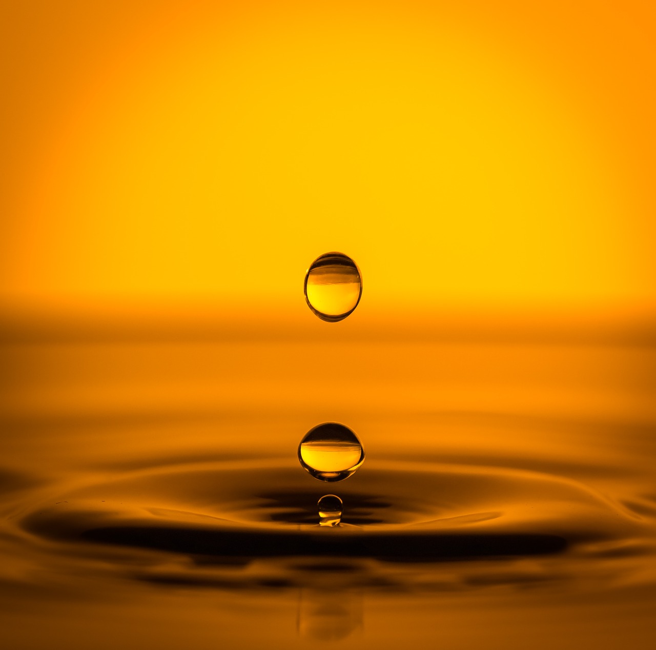 drop art water drops free photo