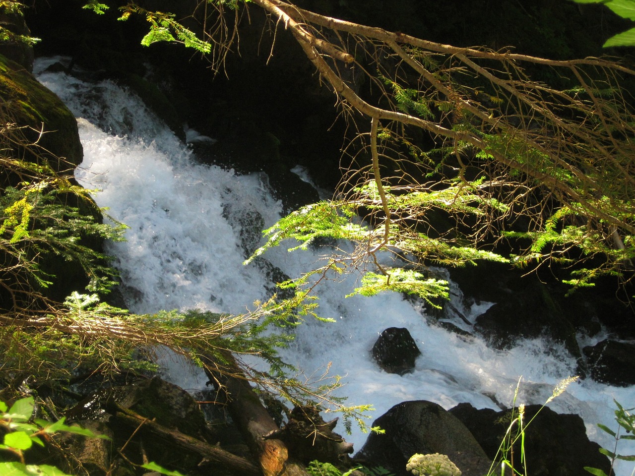 water spring channel free photo