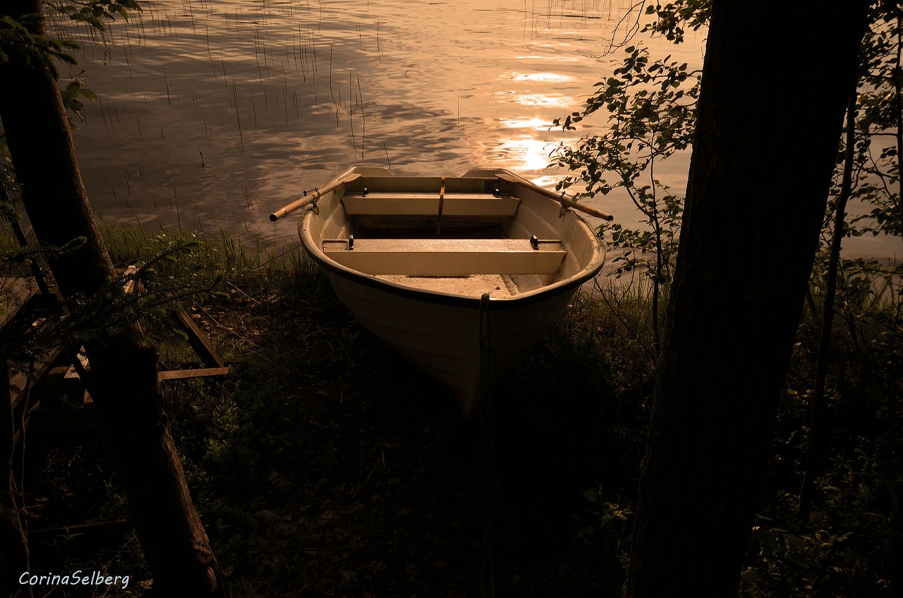 water boat evening free photo