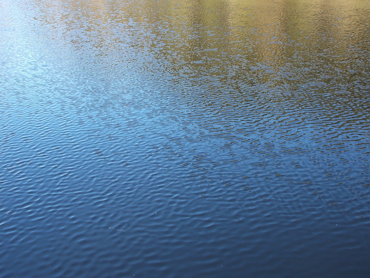 water gentle wind lake free photo