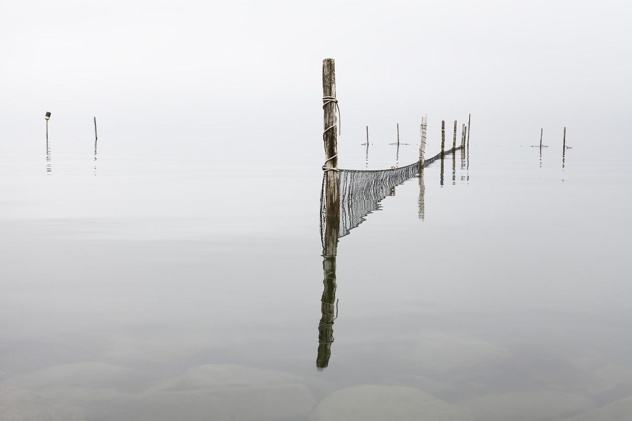 water stillness wood free photo