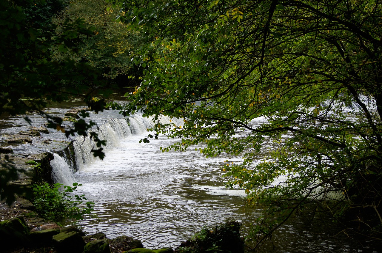 water river dam free photo