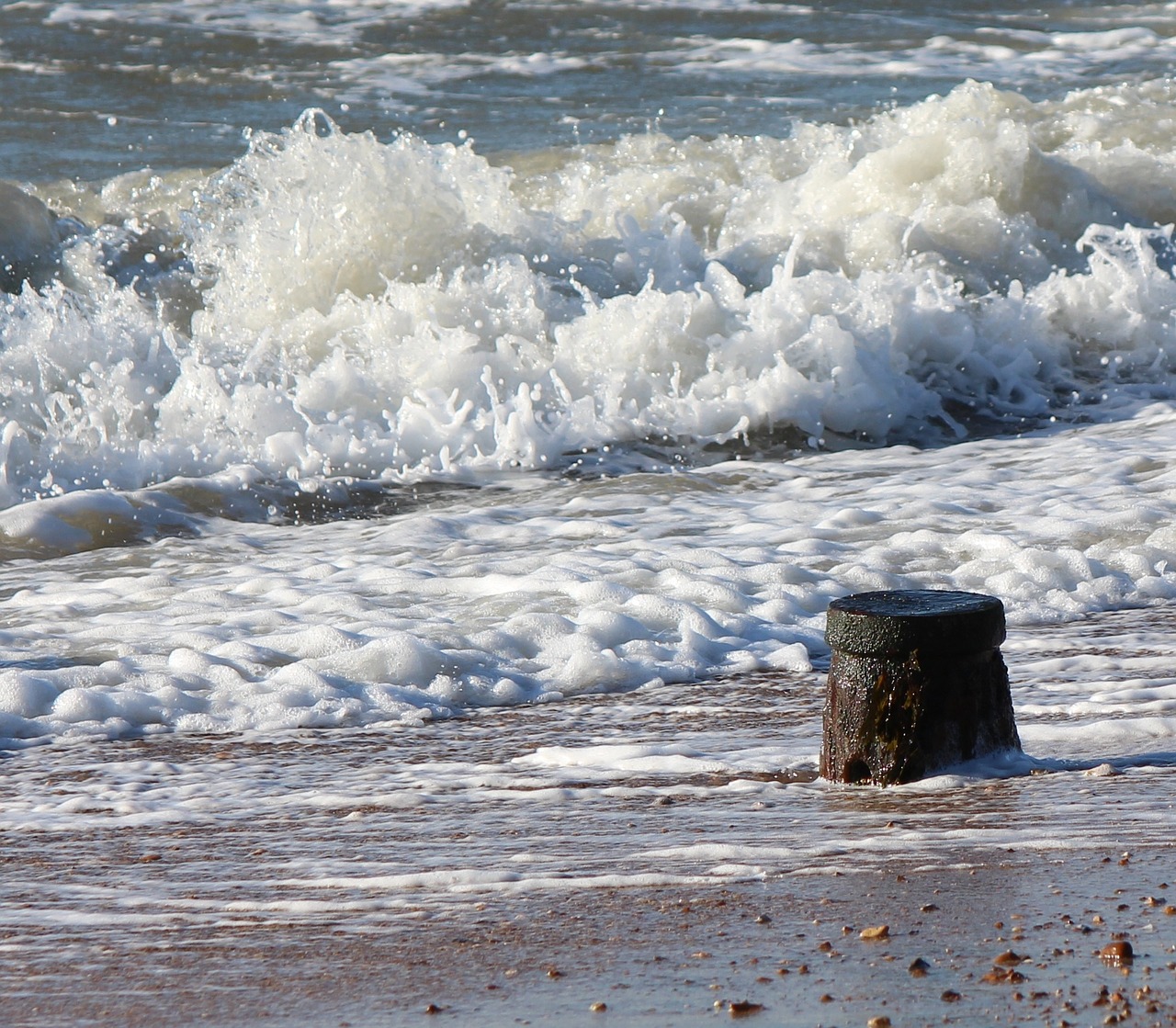 water sea wave free photo