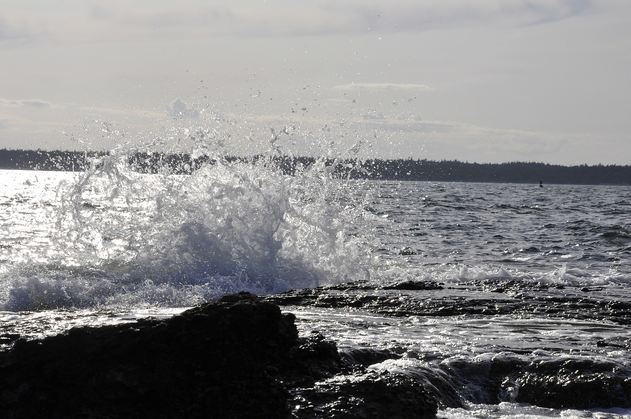 water splash coastal free photo