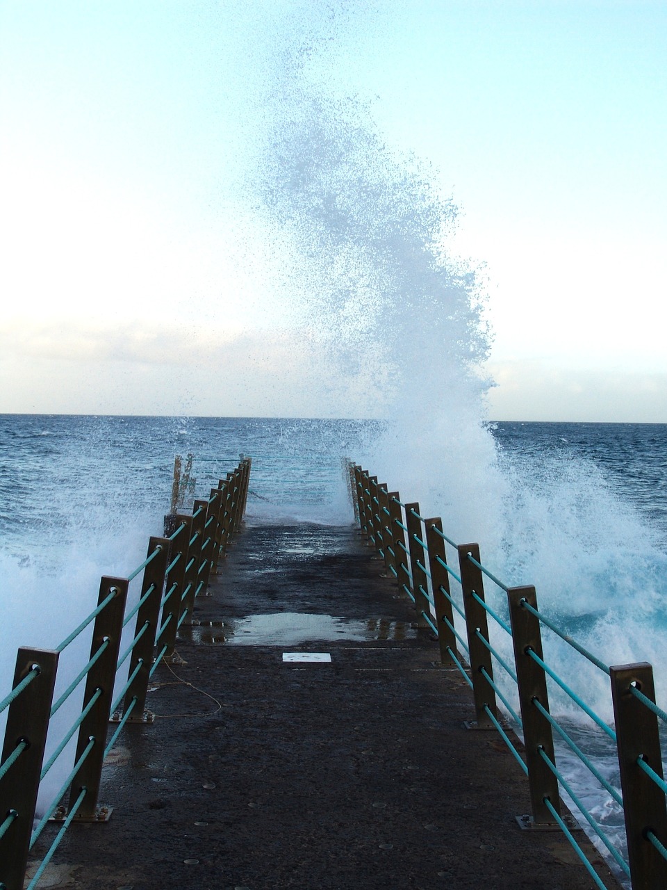 water sea coastline free photo