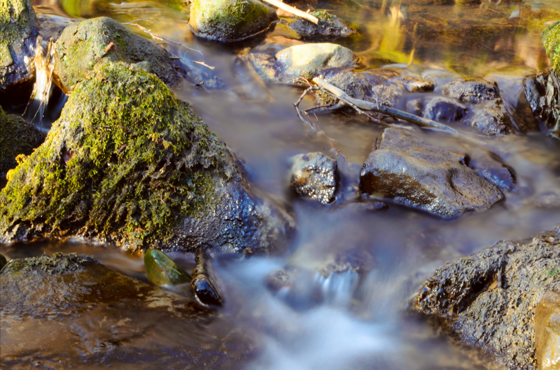 stream water nature free photo