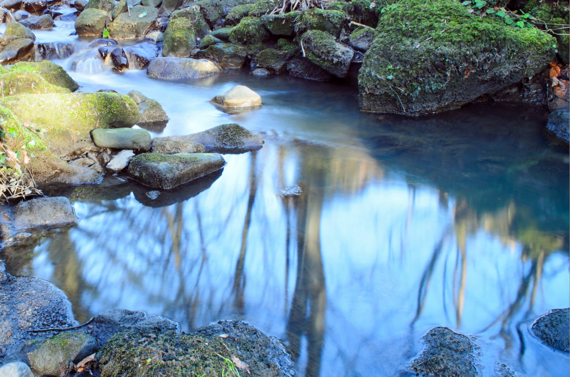 stream water nature free photo