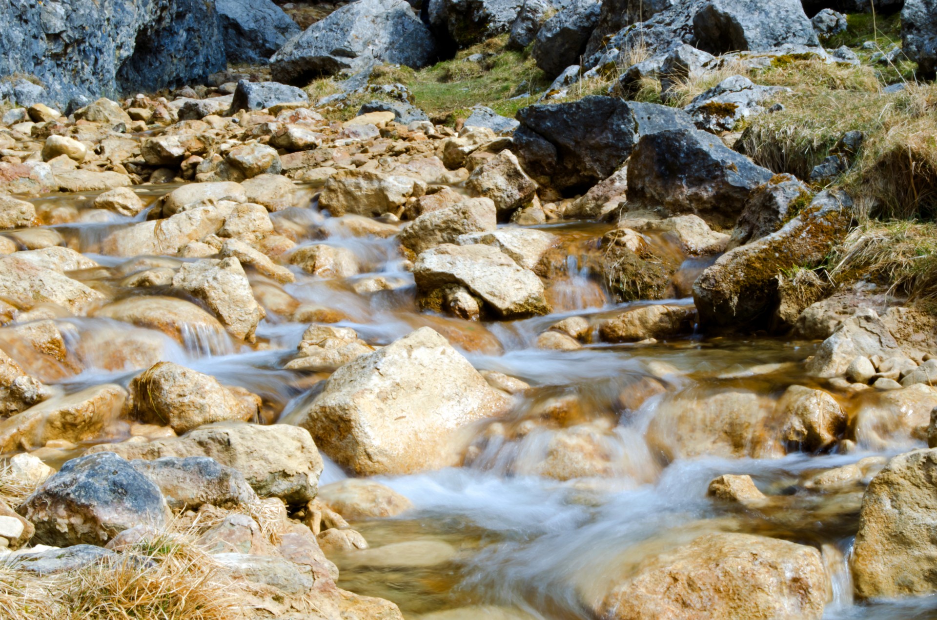 stream water nature free photo