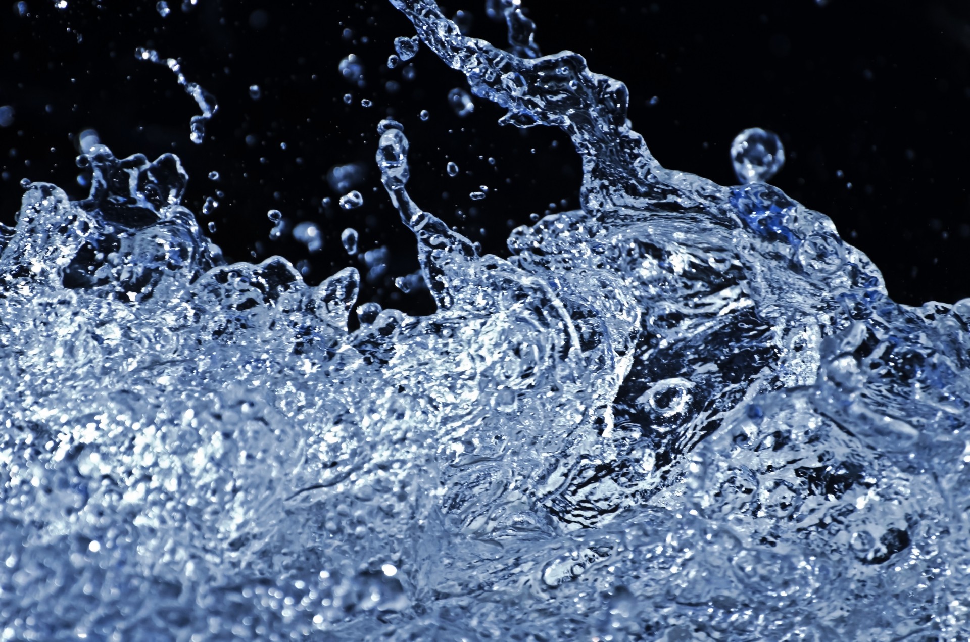 splashing splash aqua free photo