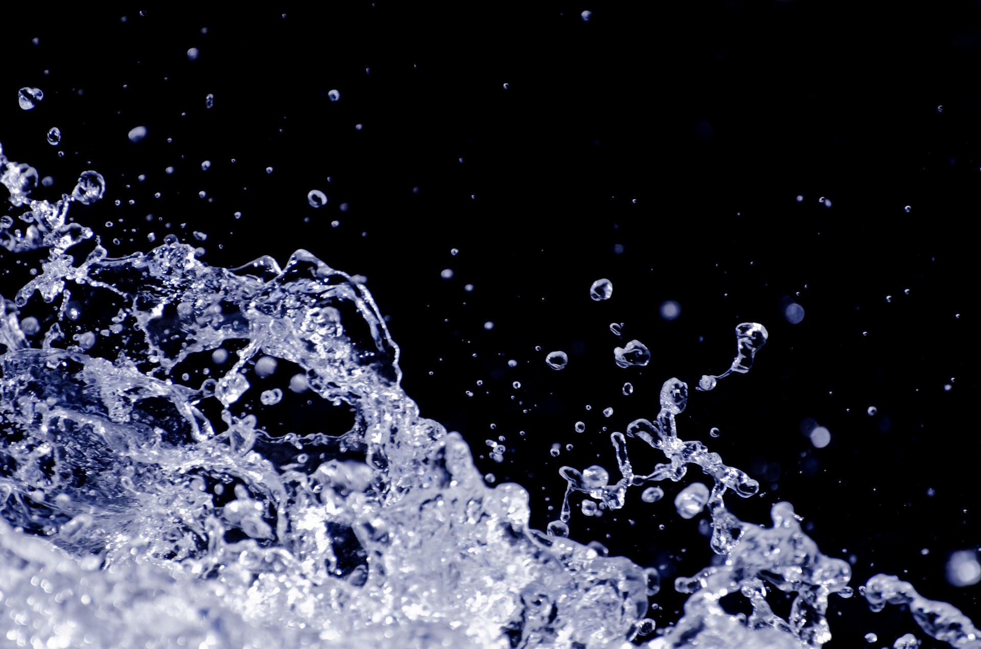 splashing splash aqua free photo