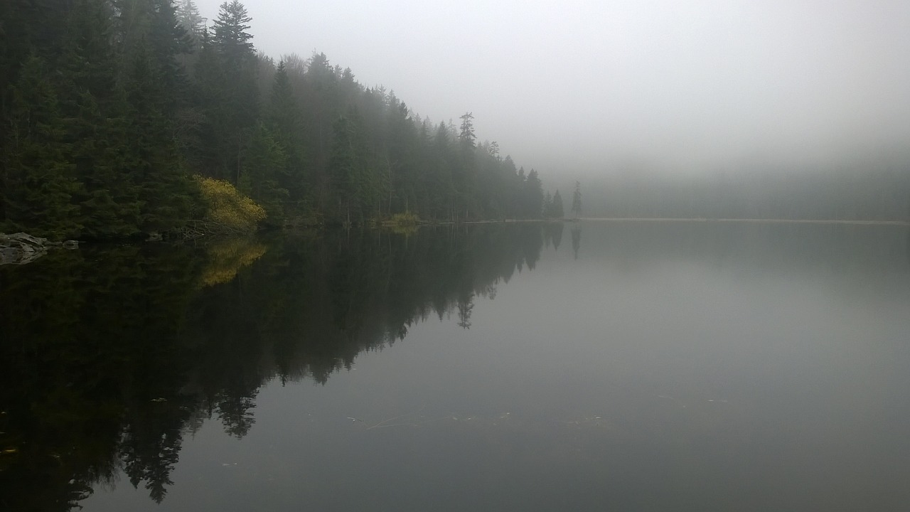 fog water lake free photo