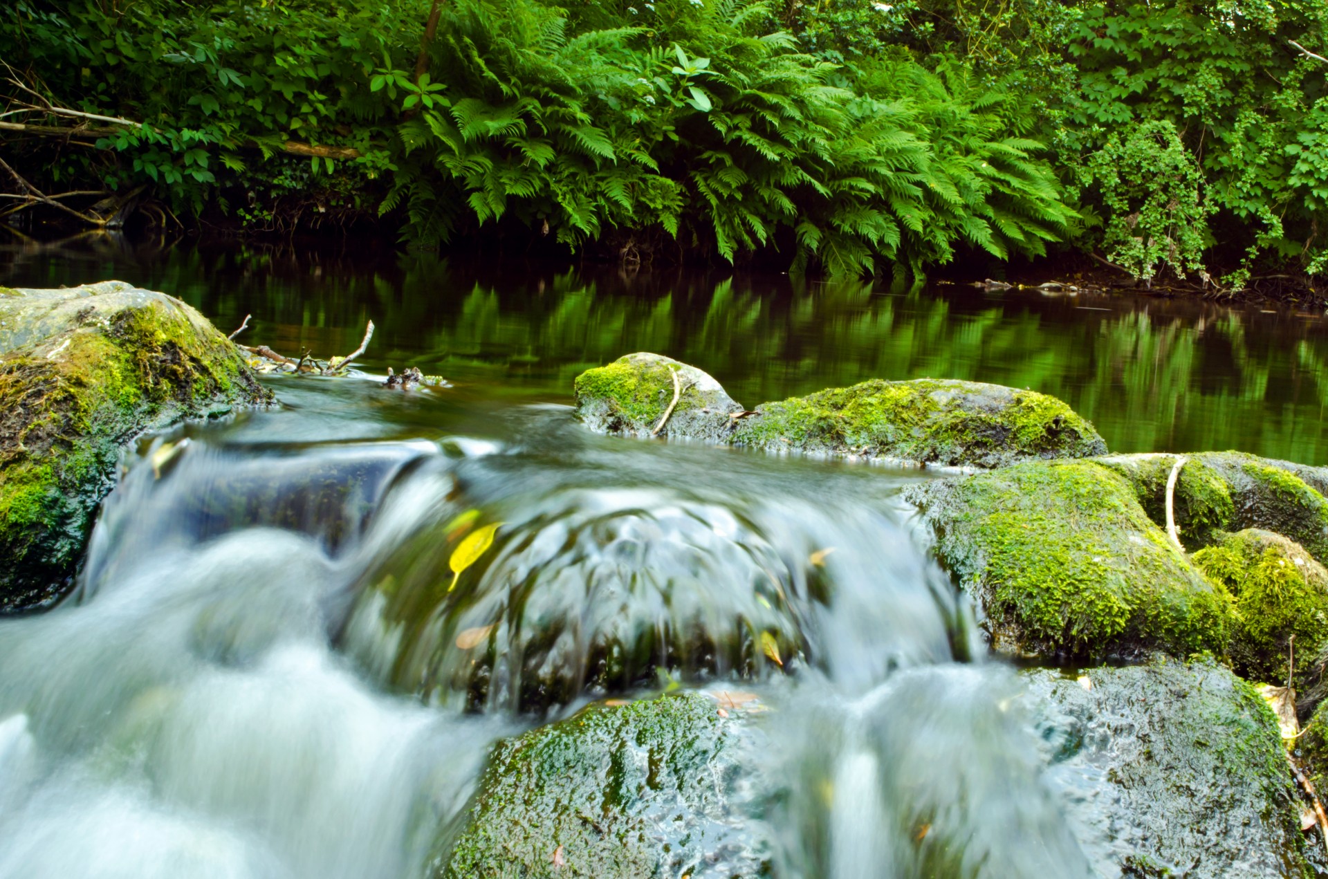 water river speed free photo