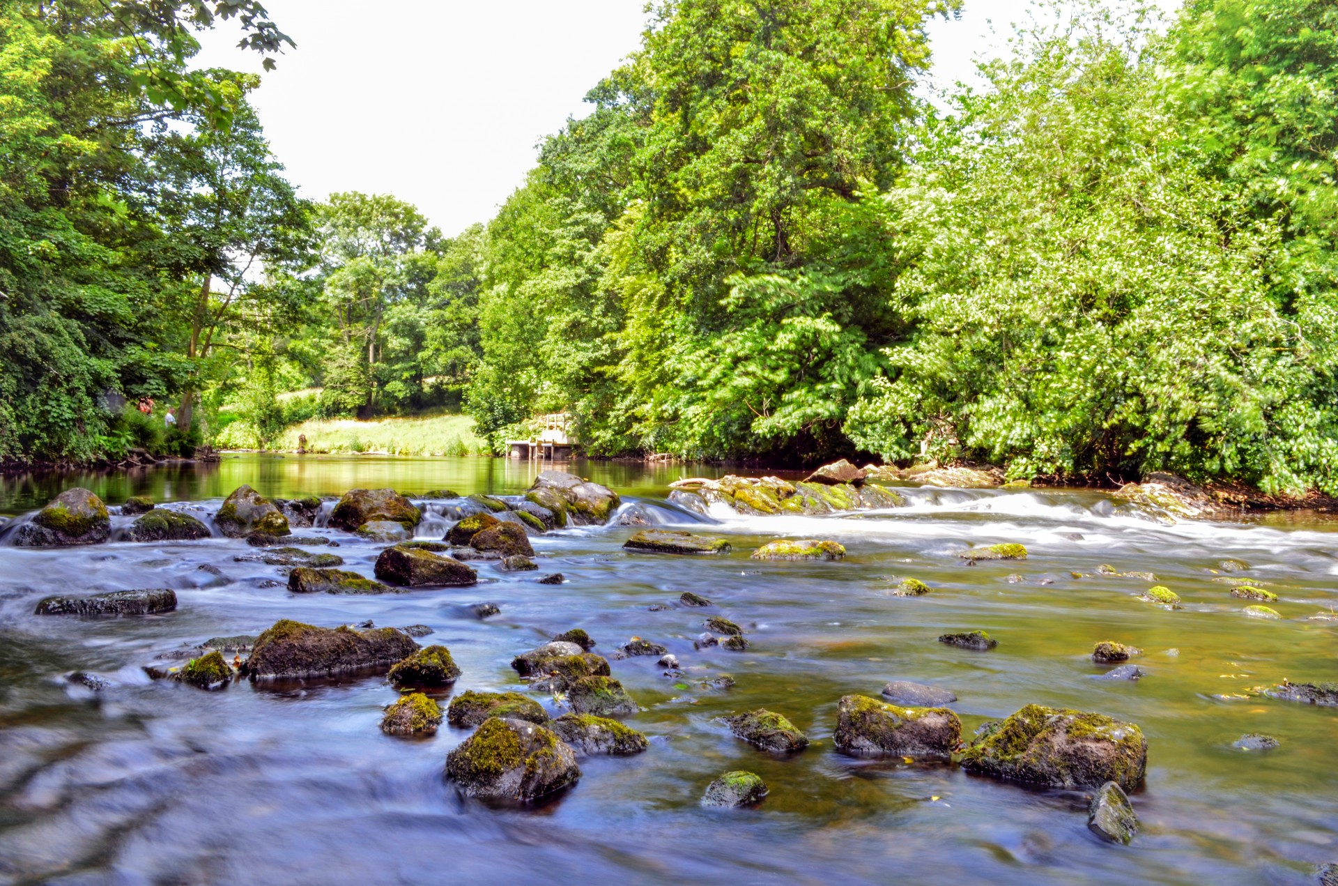 water river season free photo