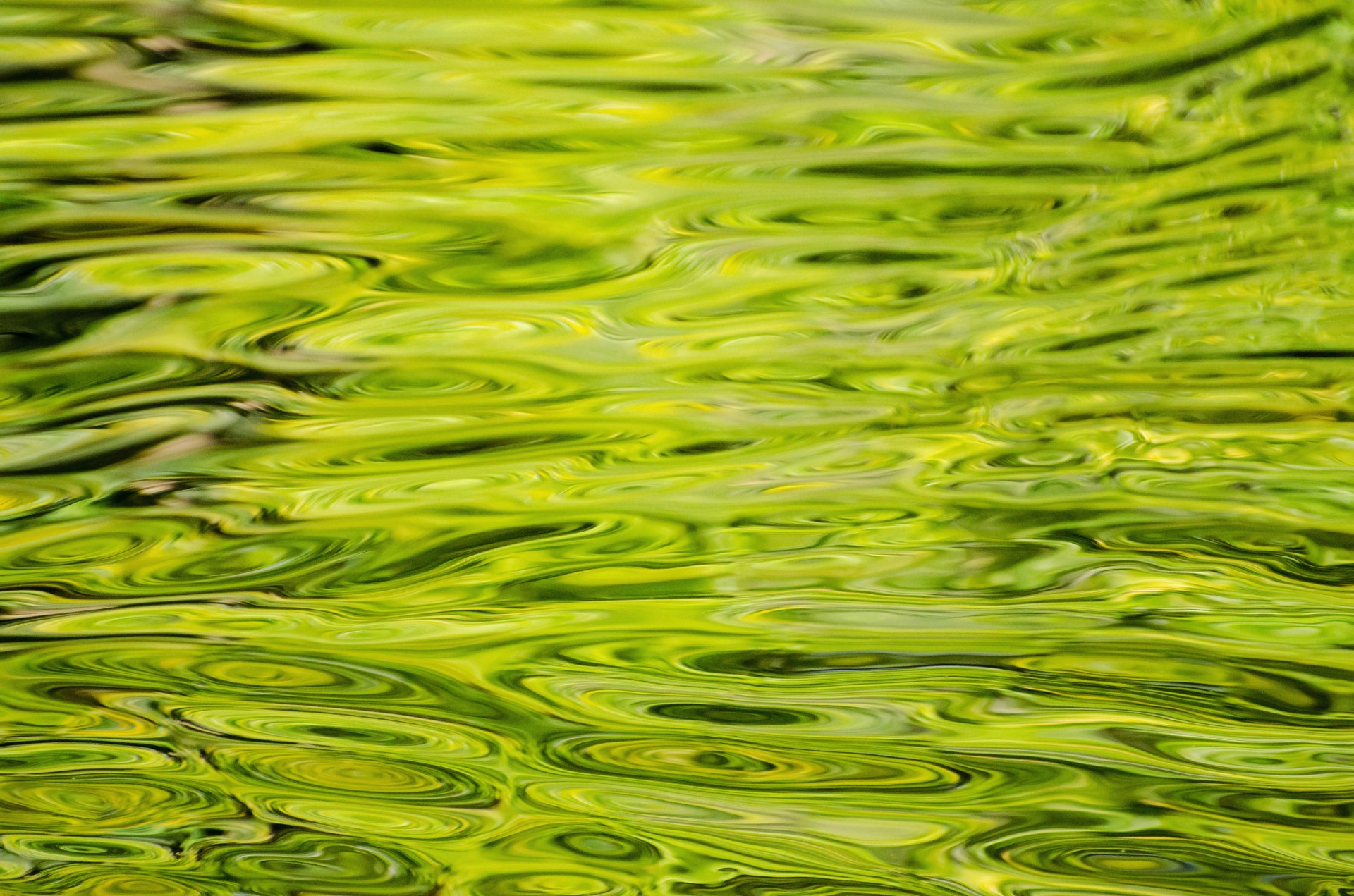 Прозрачная зеленая вода. Algae Green цвет. Водоросли фон. Вода фон. Зеленая вода.