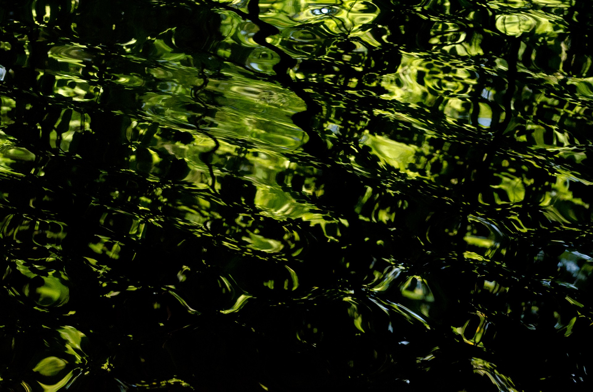 water background pattern free photo