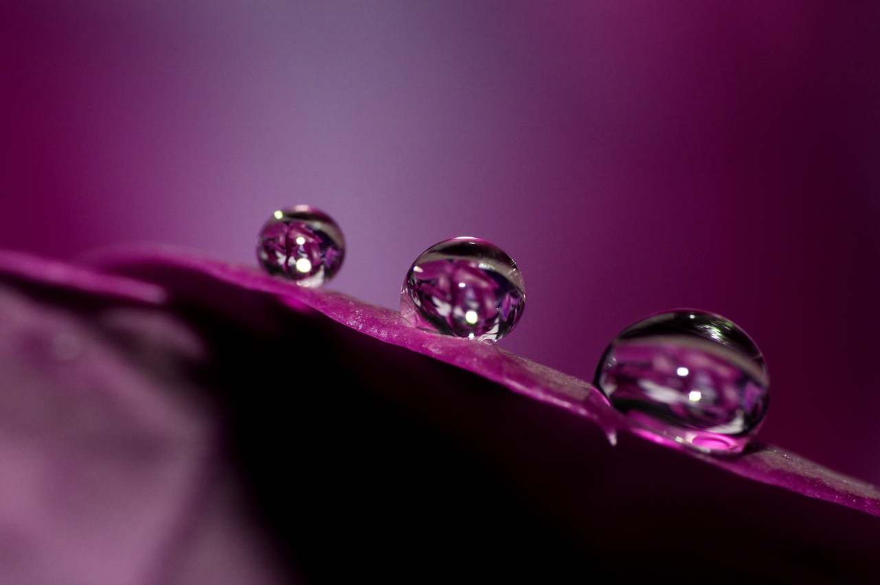 water droplets close-up free photo