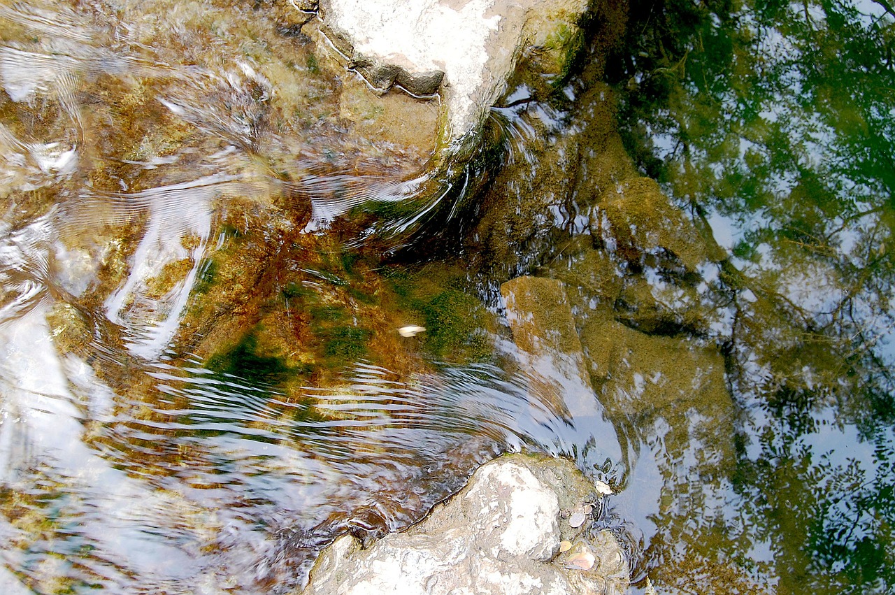 water river brooks free photo