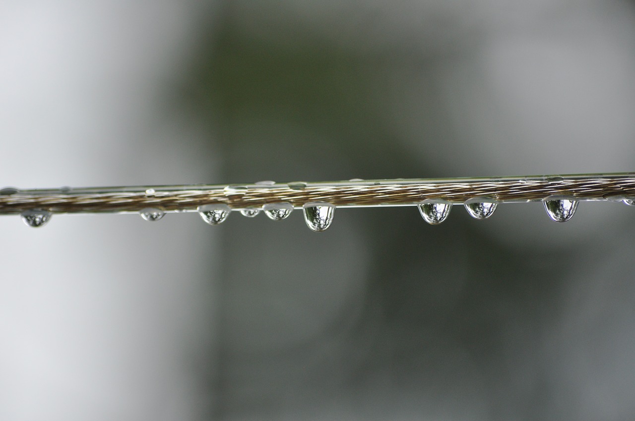 water drops clothes line free photo