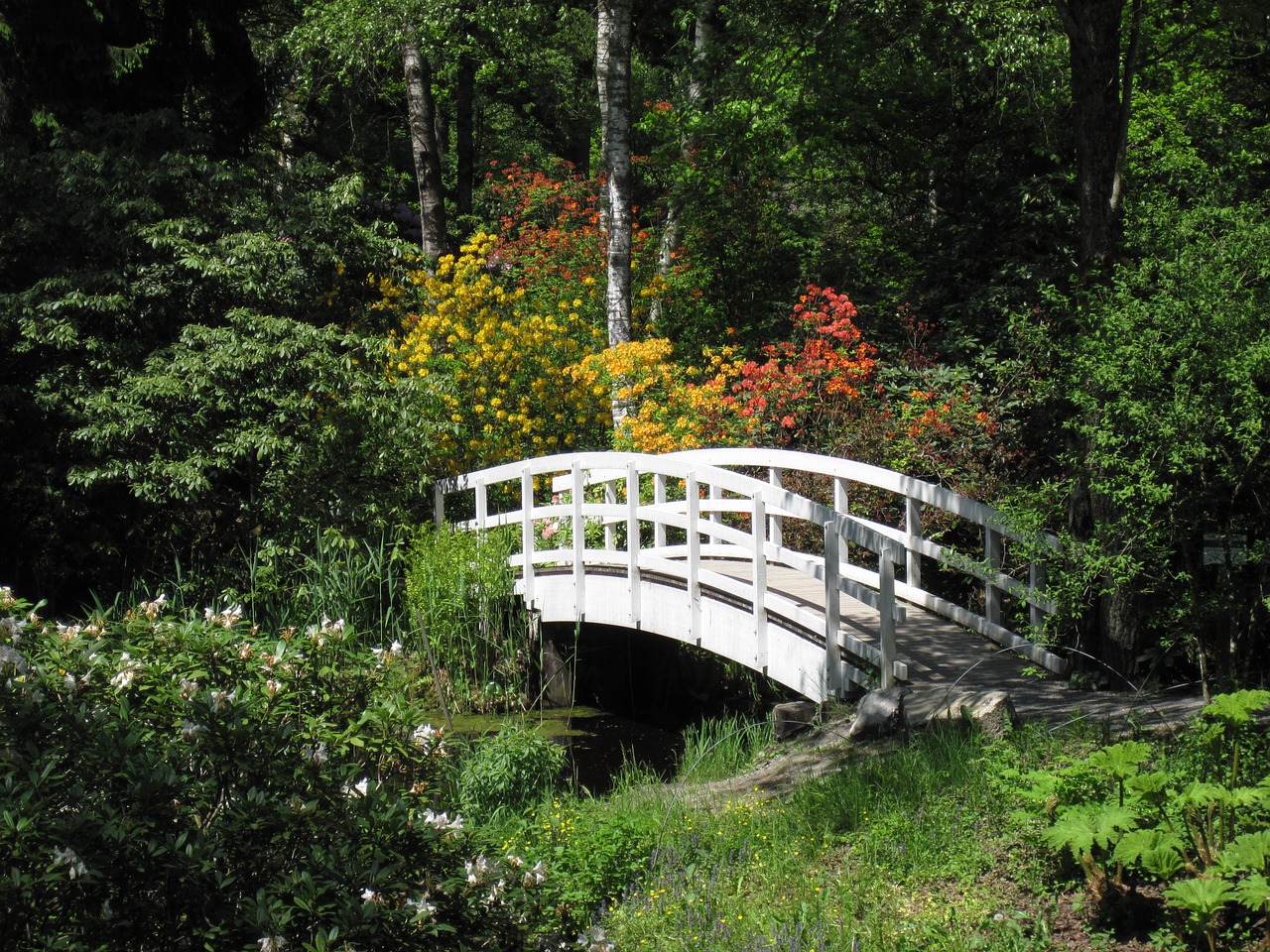 water bridge pond free photo