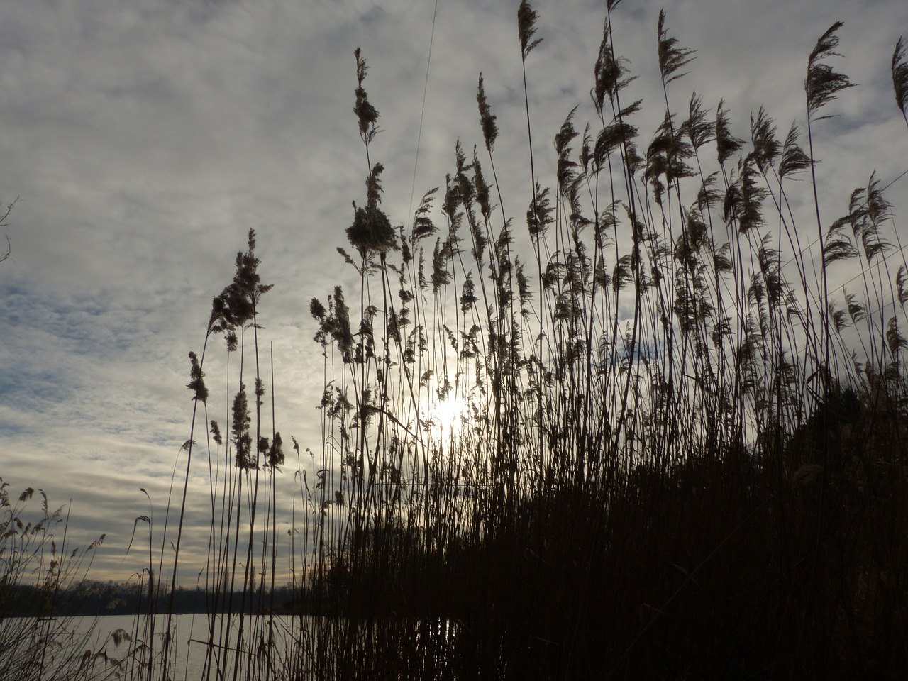 water nature landscape free photo