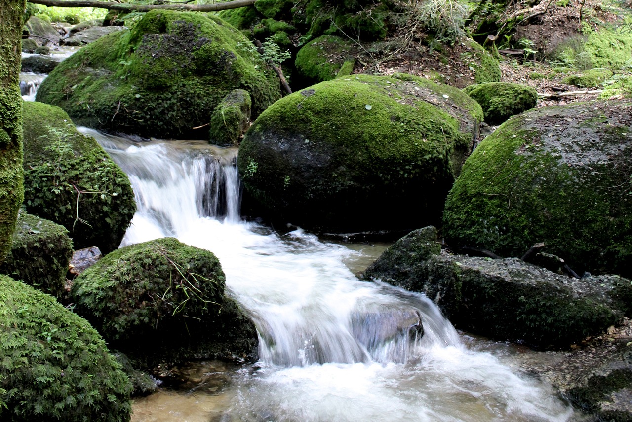 water stones moss free photo