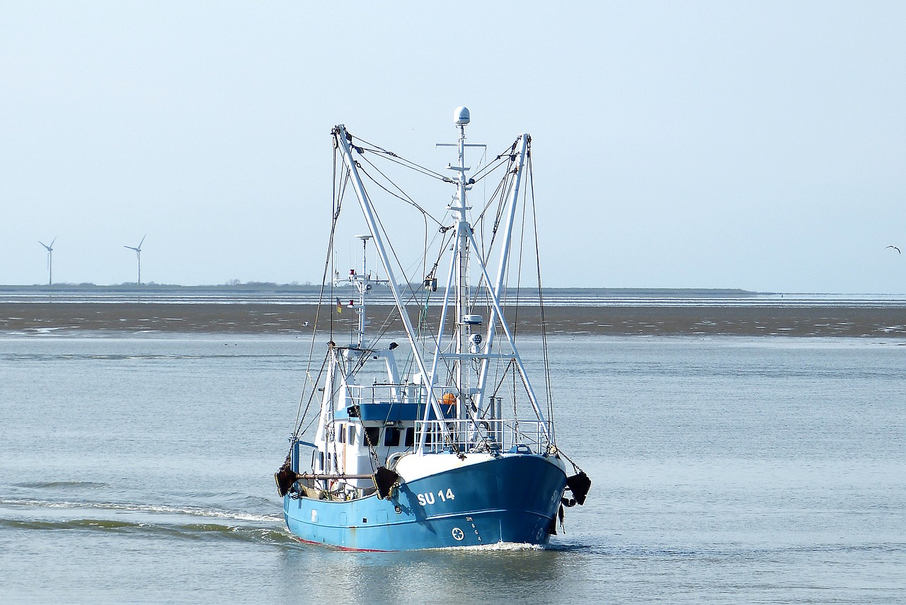 water north sea wadden sea free photo