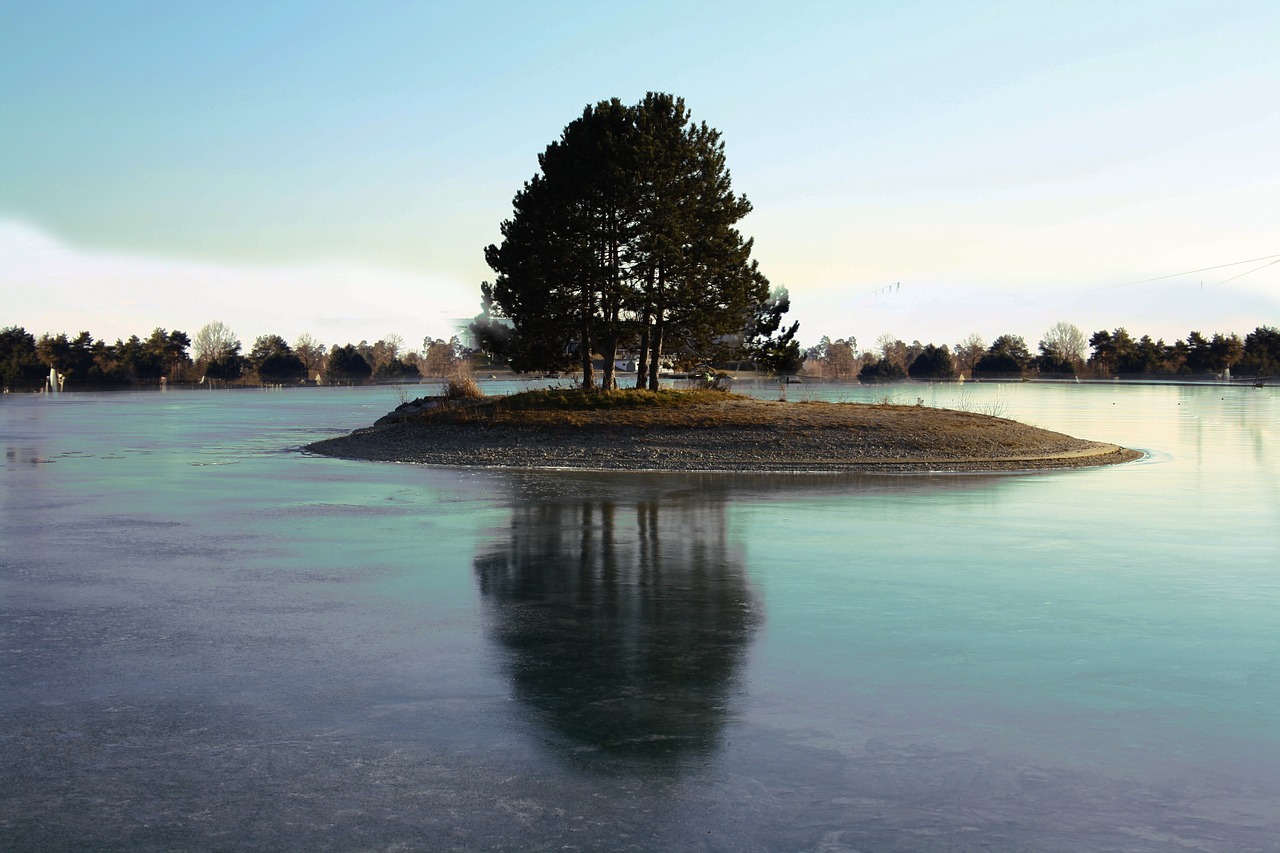 water lake tree free photo