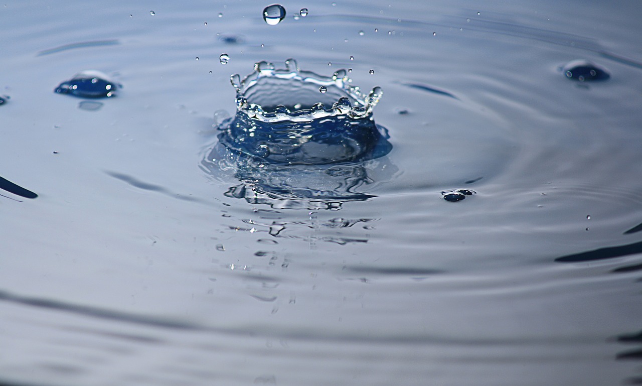water drip drop of water free photo