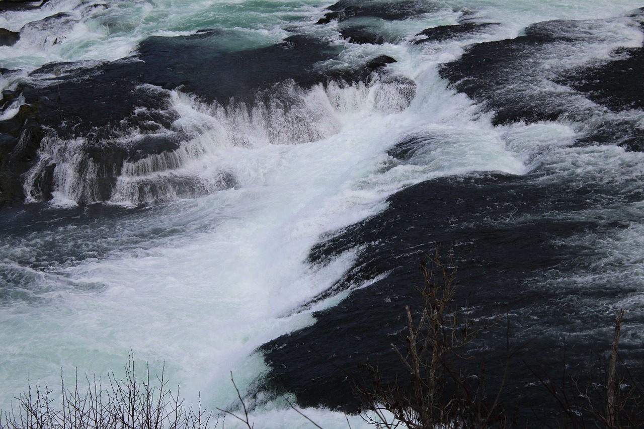water rhine falls schaffhausen free photo