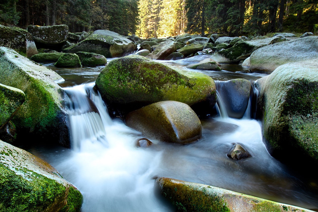 water nature rocks free photo