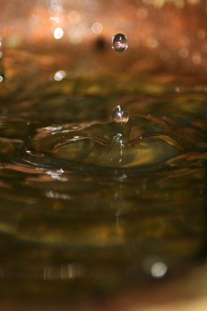 water drip close free photo