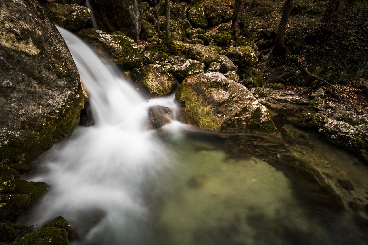 water bach river free photo