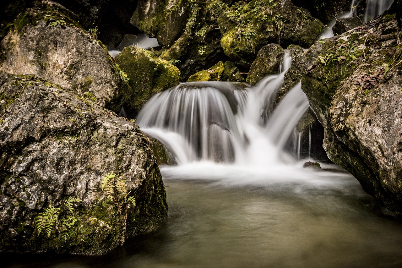 water bach river free photo