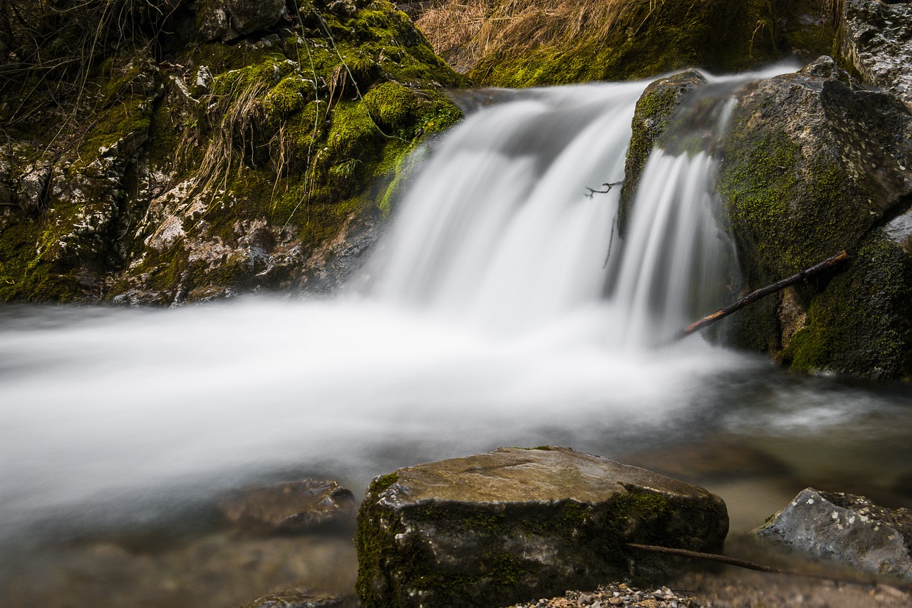 water bach river free photo