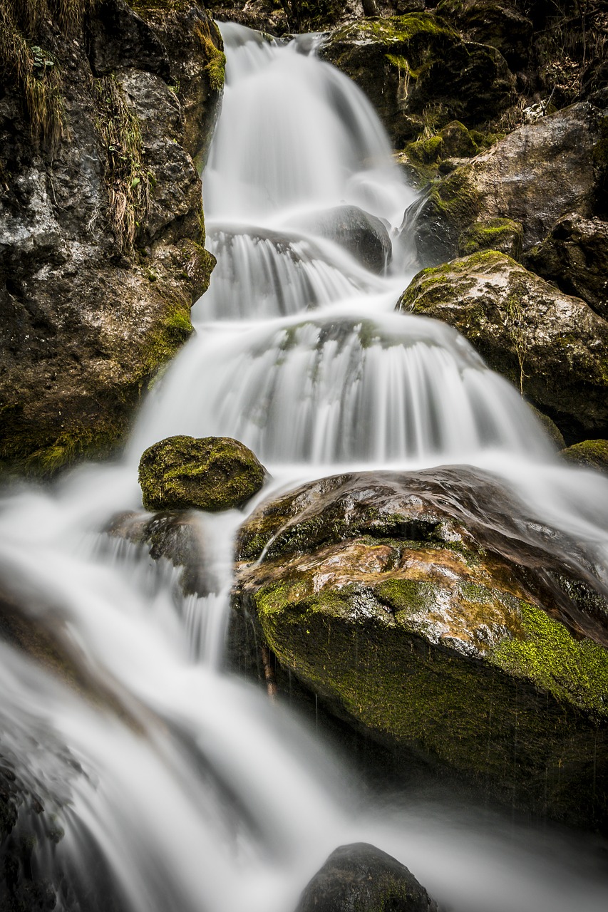 water bach river free photo