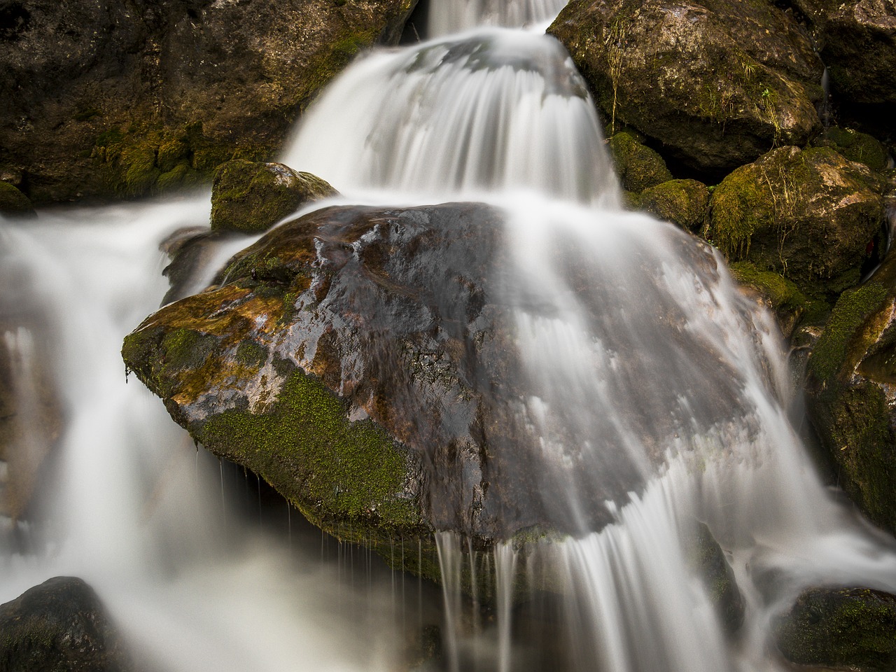 water bach river free photo